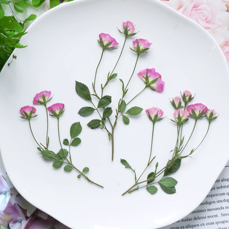 12 Pezzi, Mini Rose Rosa Press - Candle Supply recensione e prezzo